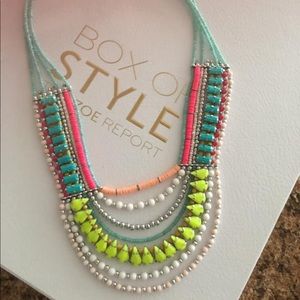 Charming Charlie new collar necklace